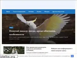 Sites similar to parrotsworld.ru