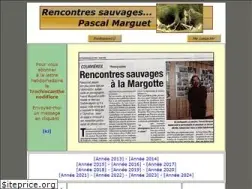 Sites similar to pascal-marguet.com