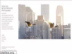 Sites similar to pascalbeaudenon.com