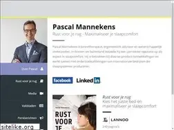 Sites similar to pascalmannekens.be