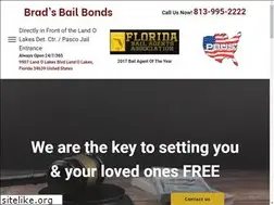 Sites similar to pascobailagents.com