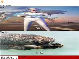 Sites similar to pashapress.com