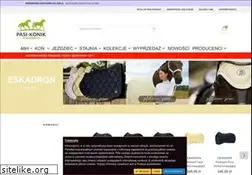Sites similar to pasi-konik.pl