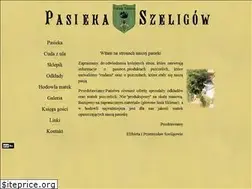 Sites similar to pasieka-szeligow.pl