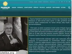 Sites similar to pasinler.bel.tr