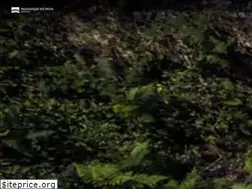 Sites similar to passadicosdopaiva.pt
