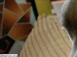 Sites similar to passion4pits.com