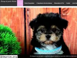 Sites similar to passionmorkie.com