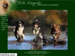 Sites similar to past-fotografie.de
