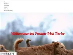 Sites similar to pastime-irish-terrier.de