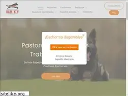 Sites similar to pastoresalemanes.mx