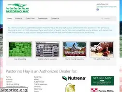 Sites similar to pastorinohay.com