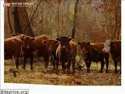 Sites similar to pasturetoplate.ca