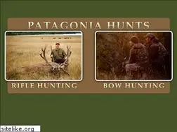 Sites similar to patagoniahunts.com