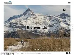 Sites similar to patagonsports.com