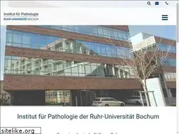 Sites similar to pathologie-bochum.de
