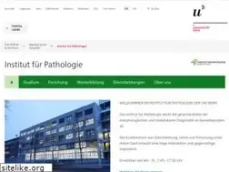 Sites similar to pathology.unibe.ch