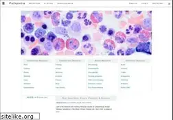 Sites similar to pathpedia.com