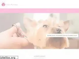 Sites similar to patidenkuyruga.com.tr