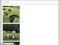 Sites similar to patikoy.com.tr
