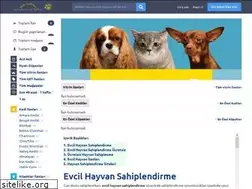 Sites similar to patikulubu.com