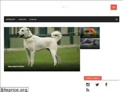 Sites similar to patiler.net