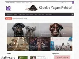 Sites similar to patipedia.com