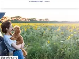 Sites similar to patitasima.com