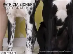 Sites similar to patricia-eichert.com