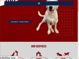 Sites similar to patriotdogtraining.com