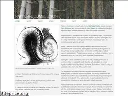 Sites similar to pattern-completion.net