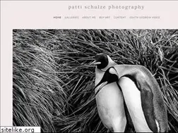 Sites similar to pattischulze.com