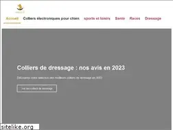 Sites similar to pattsup.fr