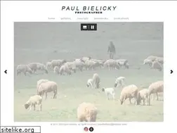 Sites similar to paulbielicky.com