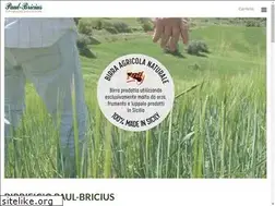 Sites similar to paulbricius.com