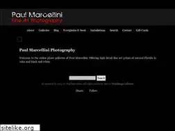 Sites similar to paulmarcellini.com