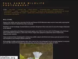 Sites similar to paulsawer.co.uk