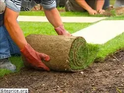 Sites similar to paulslandscapeservices.com