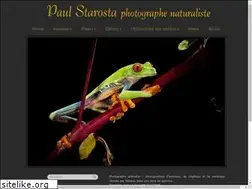 Sites similar to paulstarosta.com
