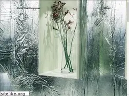 Sites similar to paulvaugoyeau.com