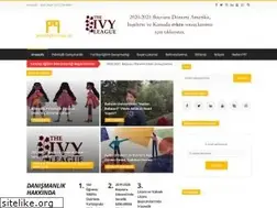 Sites similar to pavlovspartner.com