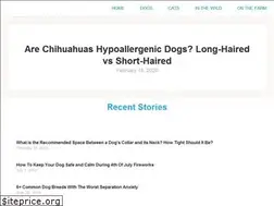 Sites similar to pawsocute.com