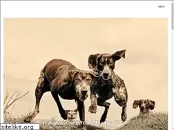 Sites similar to pawspetphotography.co.uk