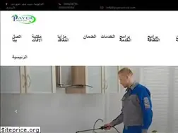 Sites similar to payerservice.com