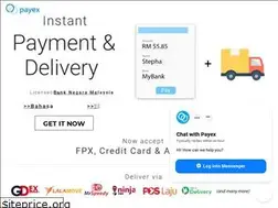 Sites similar to payex.io