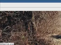 Sites similar to pazybien.org