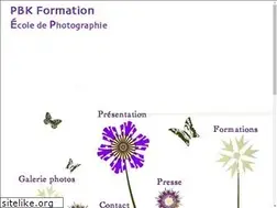 Sites similar to pbkformation.fr