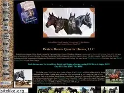 Sites similar to pbrz.com