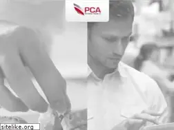 Sites similar to pcageneral.com
