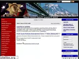 Sites similar to pcdsguild.com
